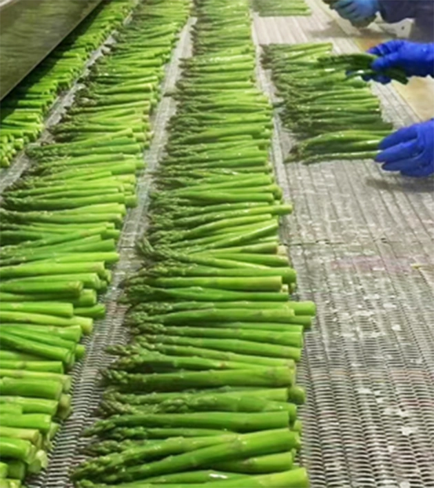 FROZEN VEGETABLES factory img