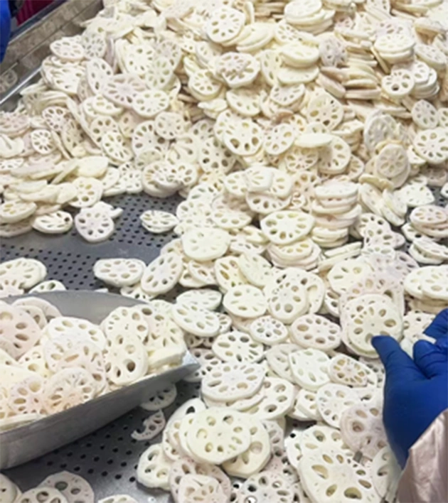 factory pic
