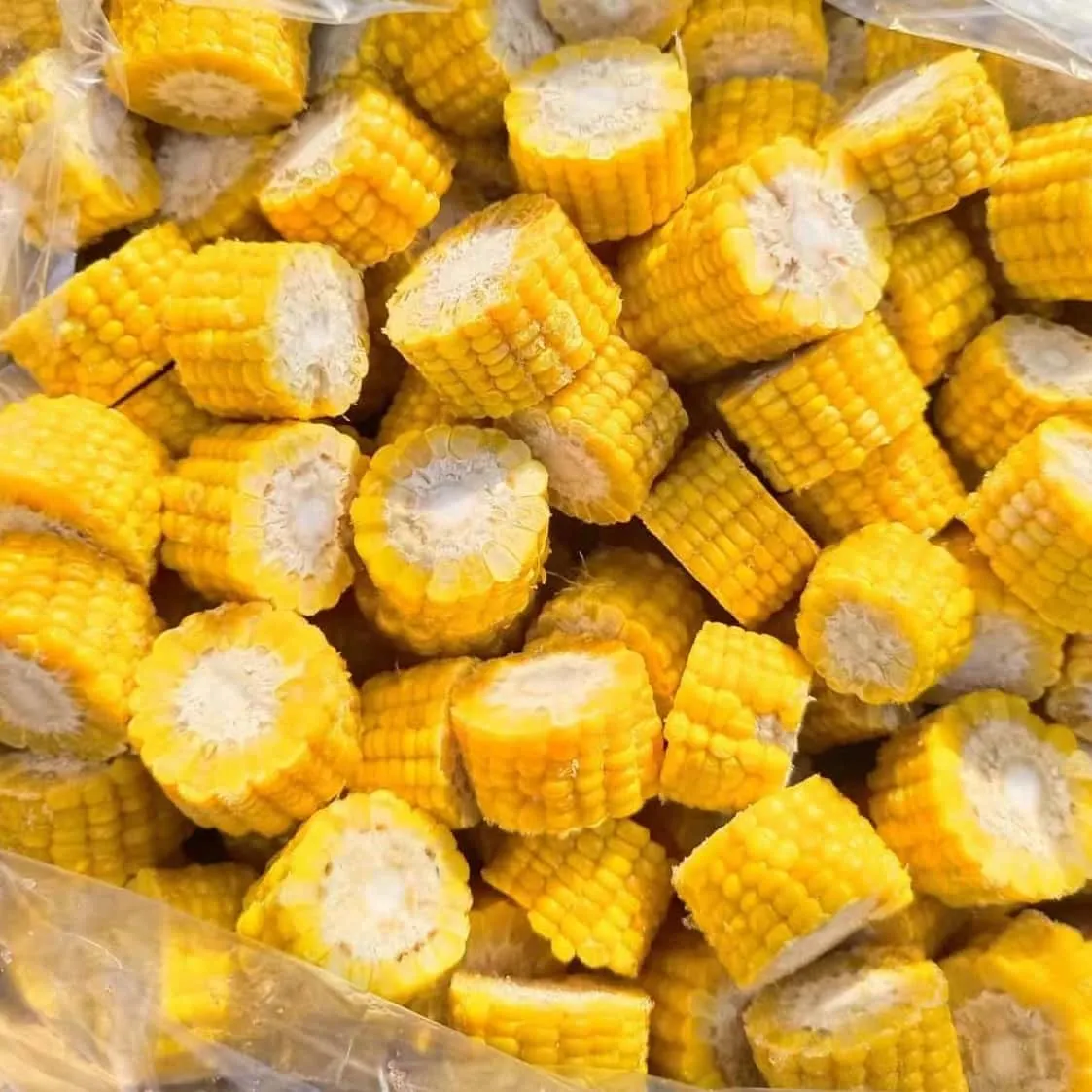 Frozen Sweet Corn on cob