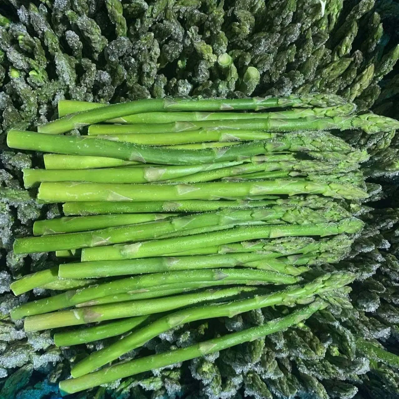 Frozen Green Asparagus