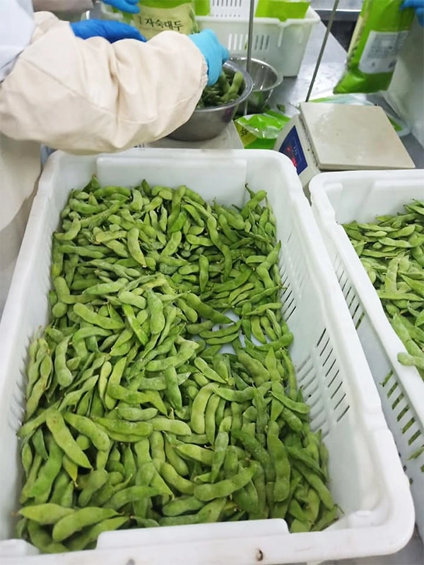 Our Factory