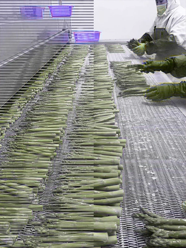 Our Factory