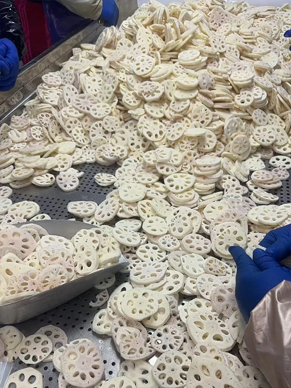 Our Factory