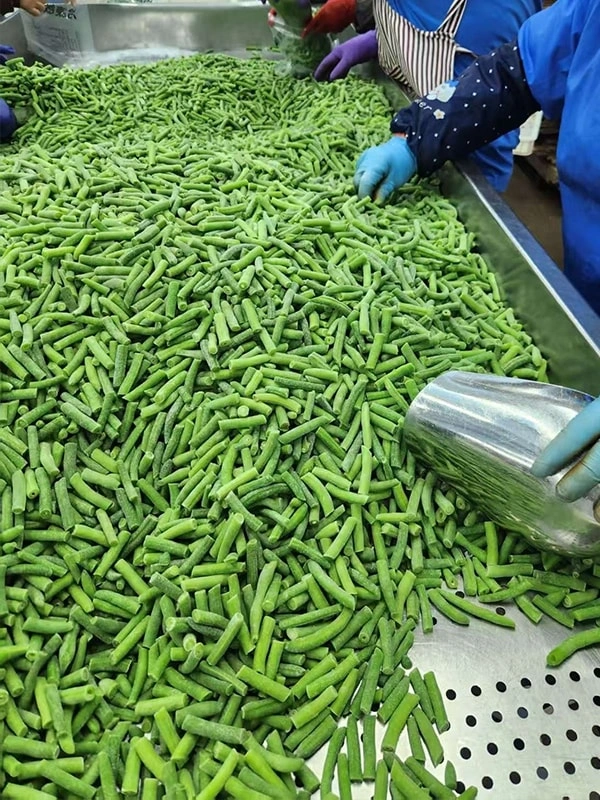 Our Factory