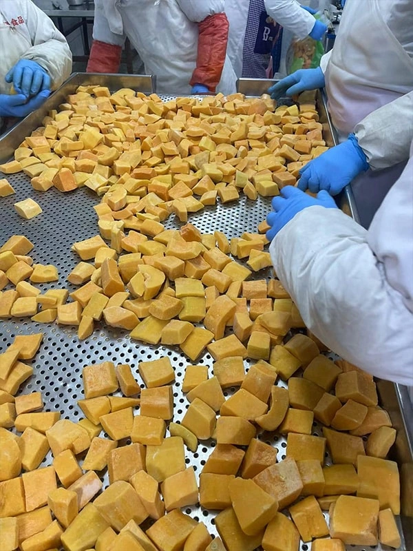 Our Factory