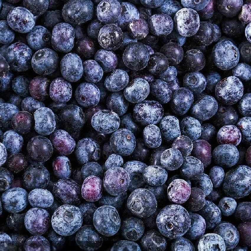 Frozen Blueberry