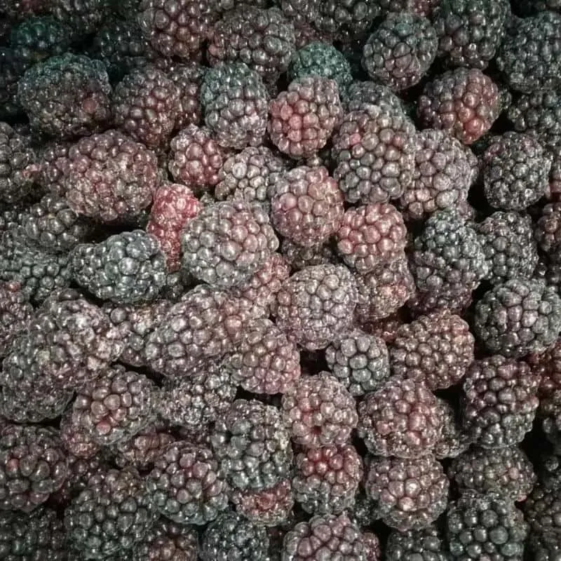 Frozen Blackberry