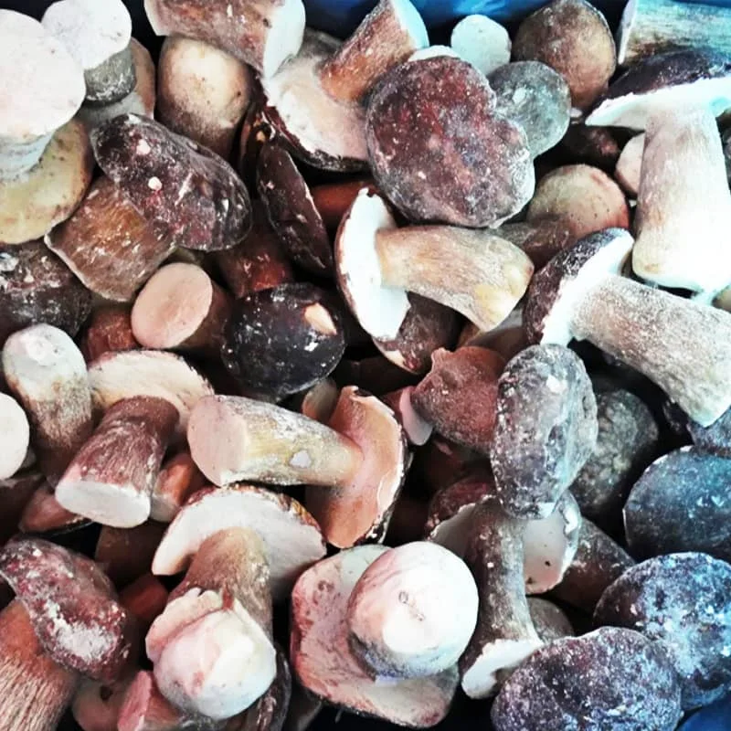 Frozen Boletus Edulis