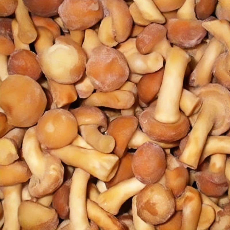 Frozen Mushroom Nameko