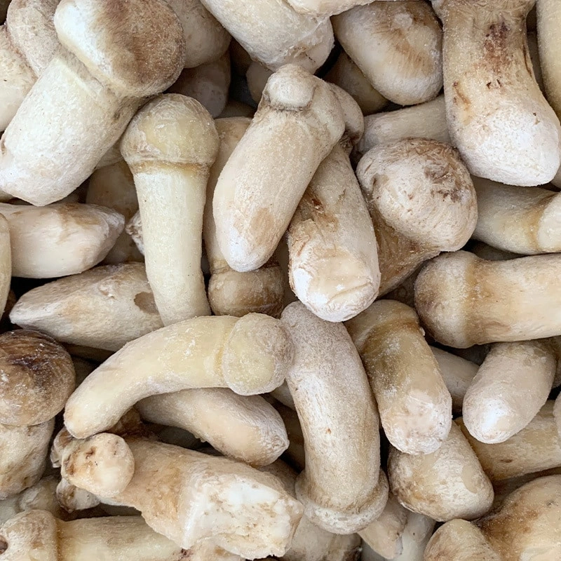 Frozen Matsutake