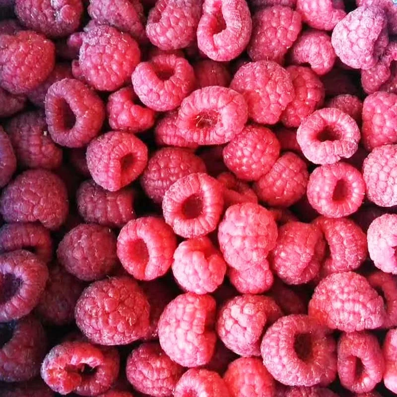 Frozen Raspberry