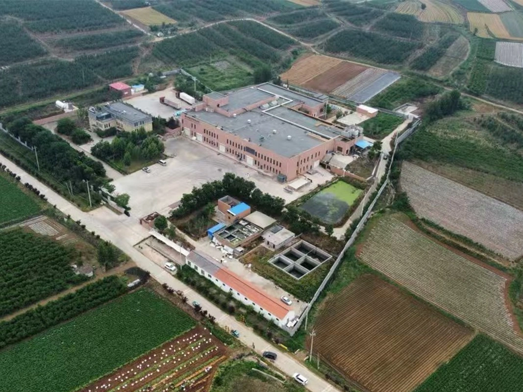 Our Factory