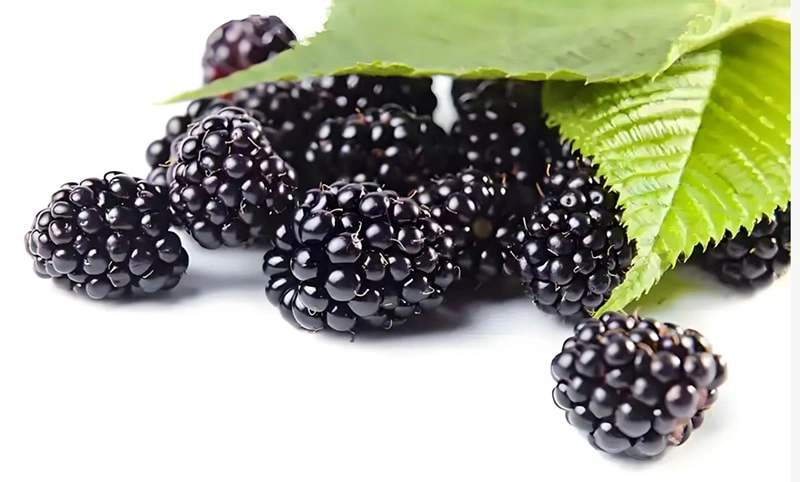 Frozen Sweet Blackberries