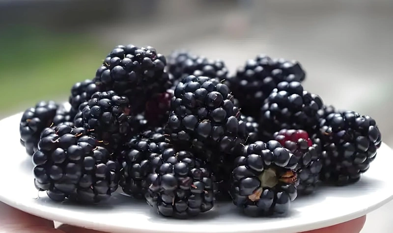 Frozen Sweet Blackberries