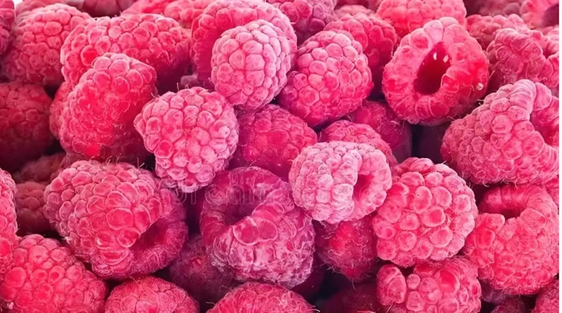 Price Trend and Market Outlook of Quick-Frozen Raspberries of Qingdao Green Farm Food Co., Ltd.