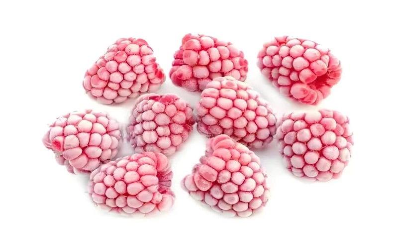 Price Trend and Market Outlook of Quick-Frozen Raspberries of Qingdao Green Farm Food Co., Ltd.
